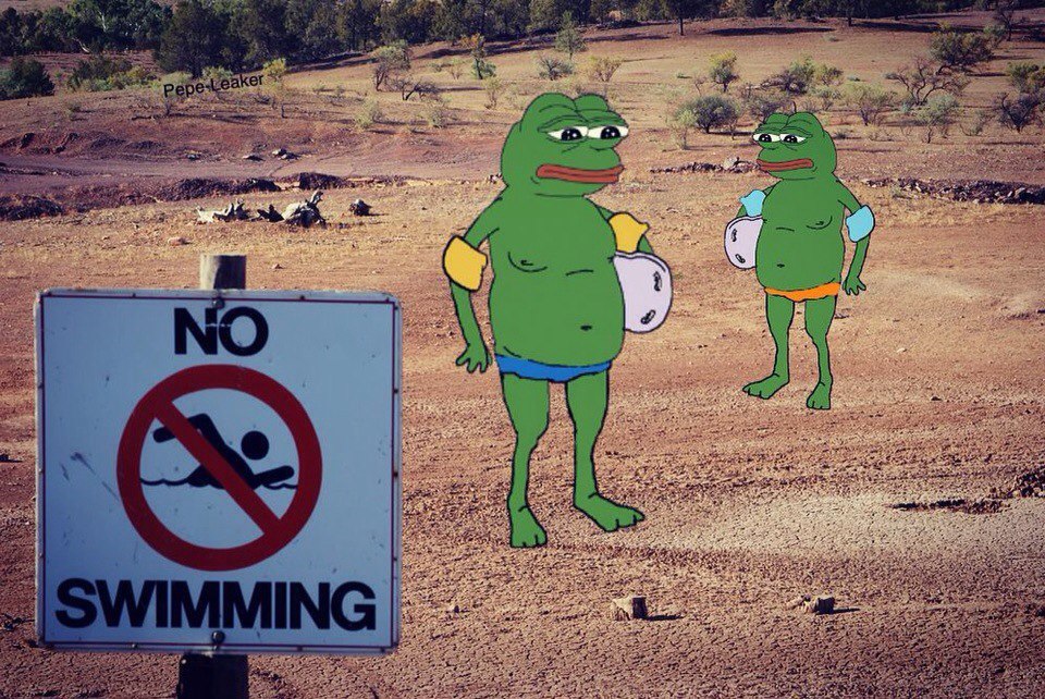 No swimming - Pepe The Frog