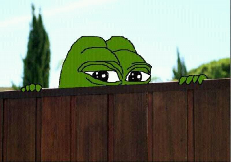 Pepe The Frog Fence