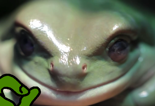 Pepe The Frog Real