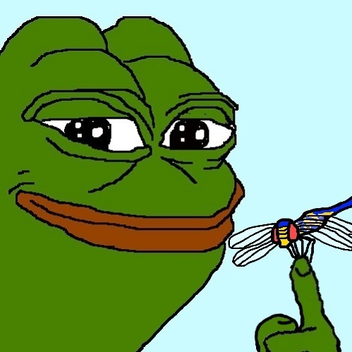 Pepe The Frog Dragonfly