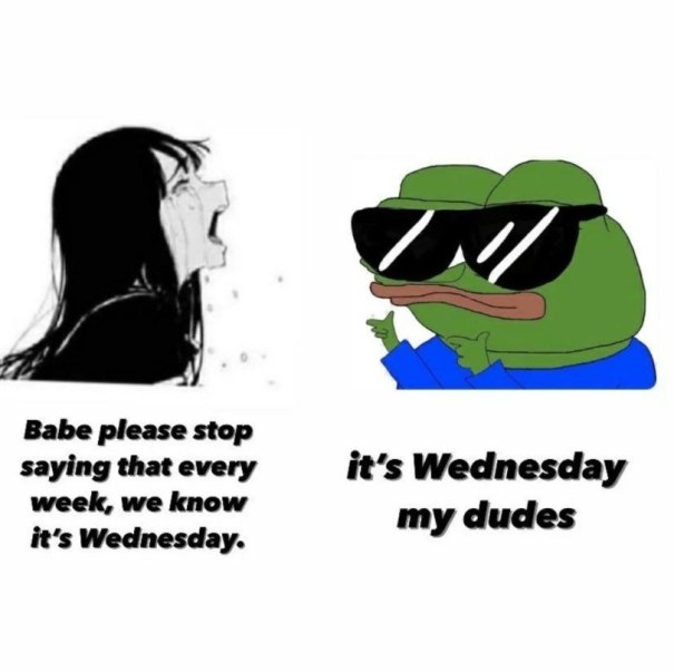It's Wednesday my dudes - Pepe - Pepe The Frog