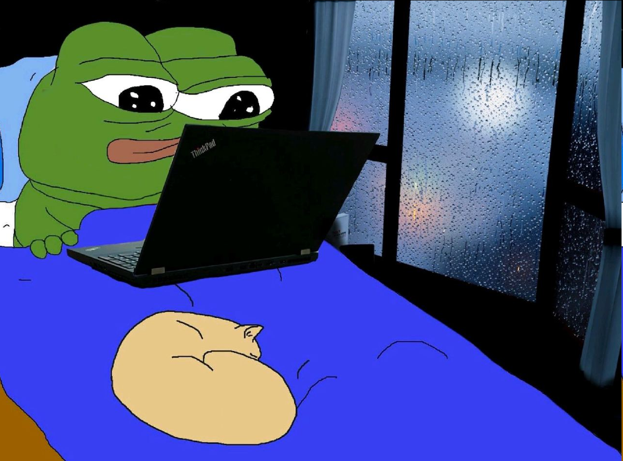 Night Pepe With Laptop in Bed - Pepe The Frog