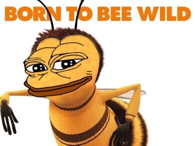 Pepe The Frog Born to bee wild