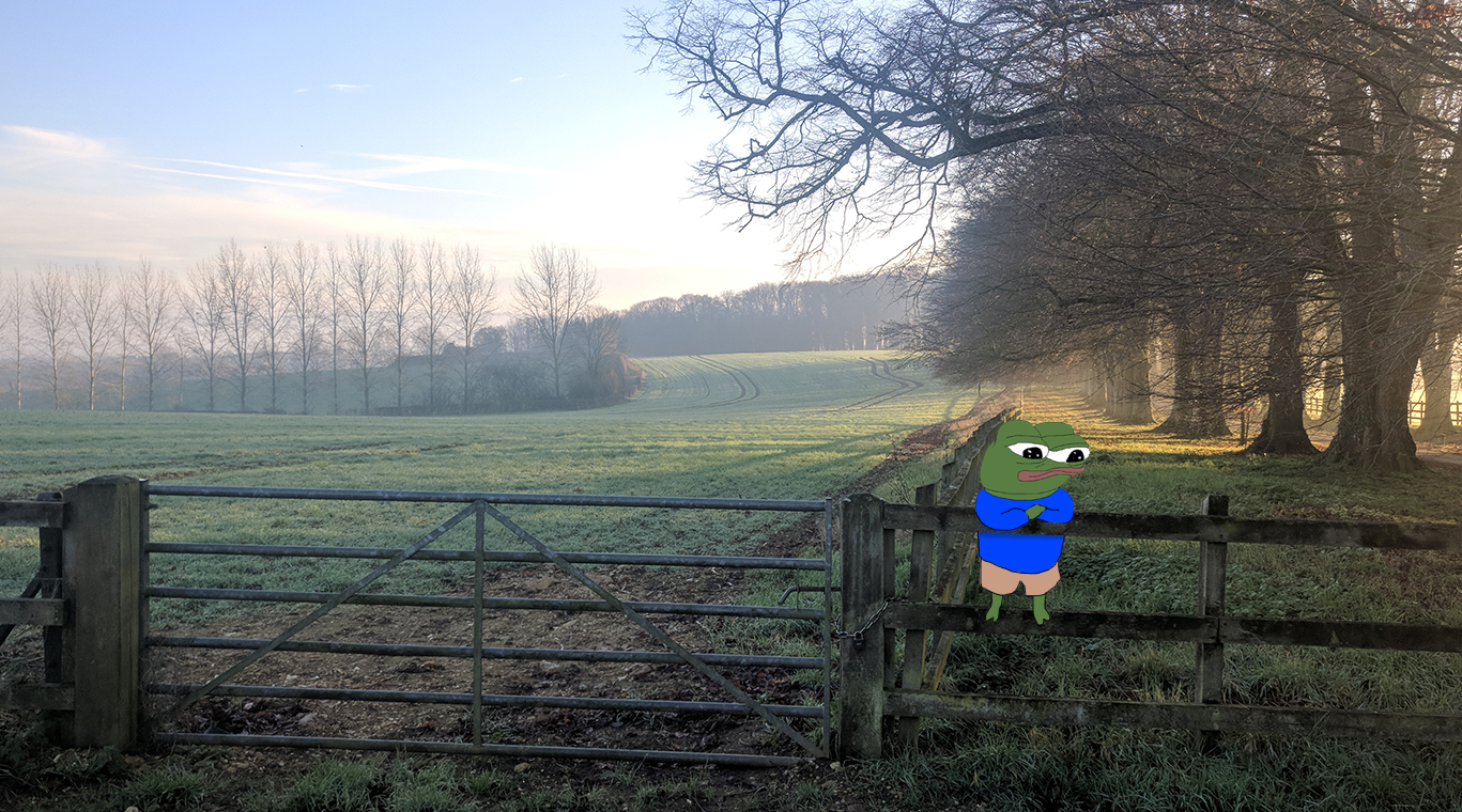 Pepe Summer Morning