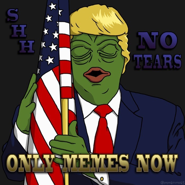 Pepe The Frog Shh, no tears - Only memes now