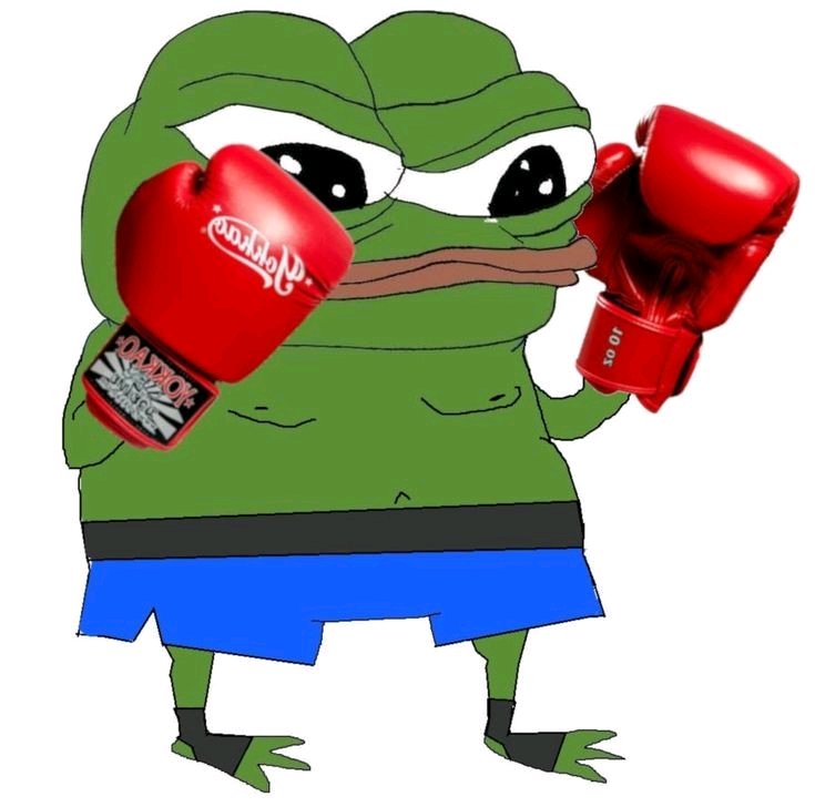 Boxing Pepe