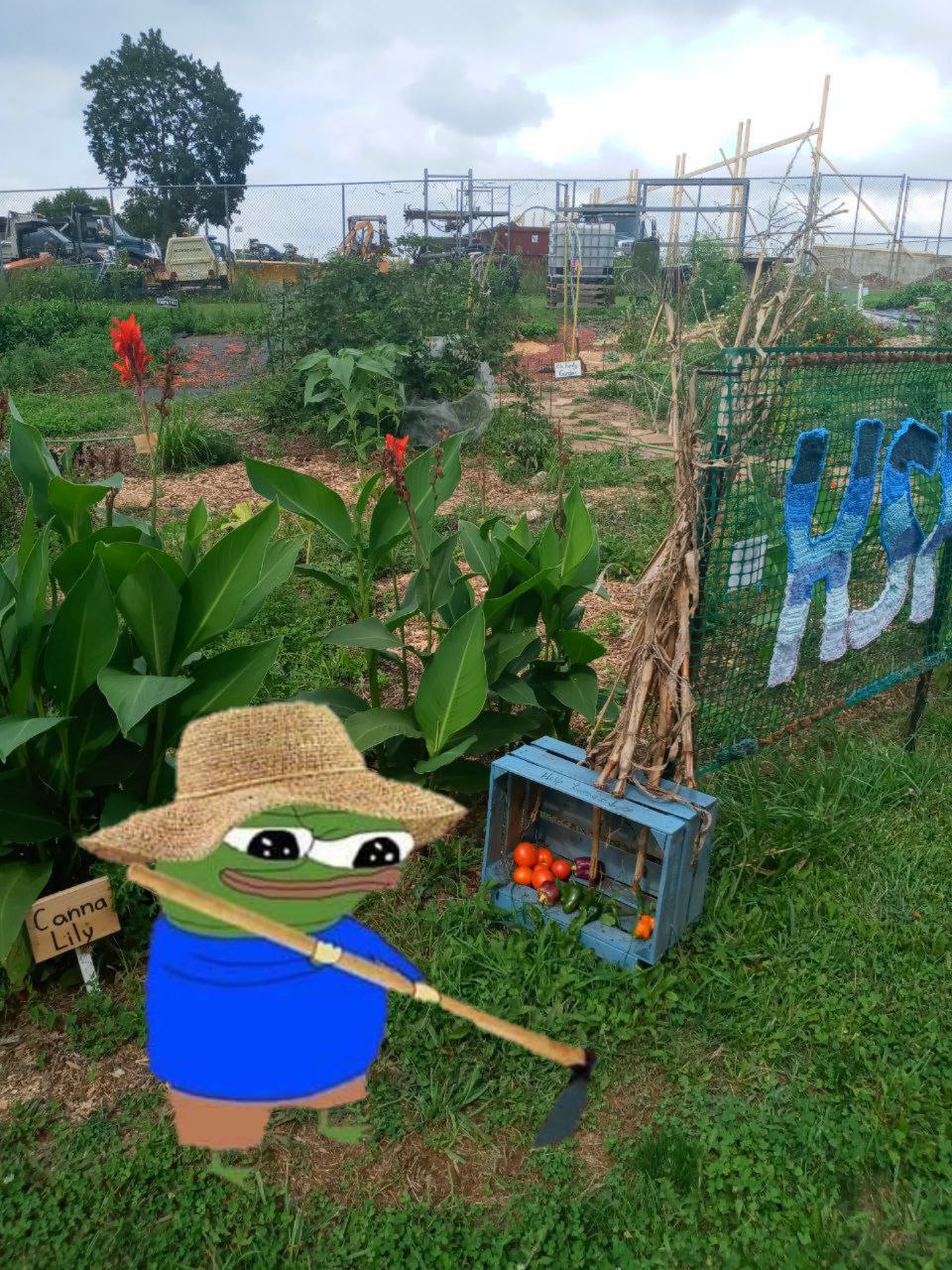Farmer Pepe