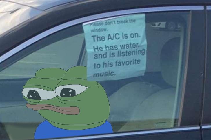 Pepe don't break the window