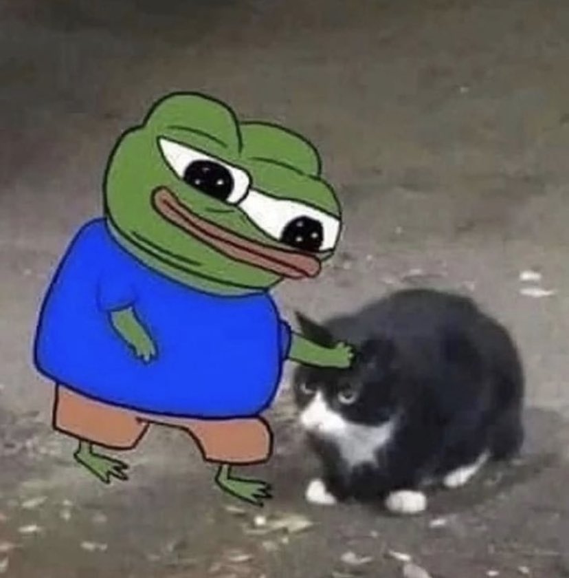 Pepe and Stray Cat