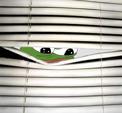 Pepe The Frog Pepe window blind